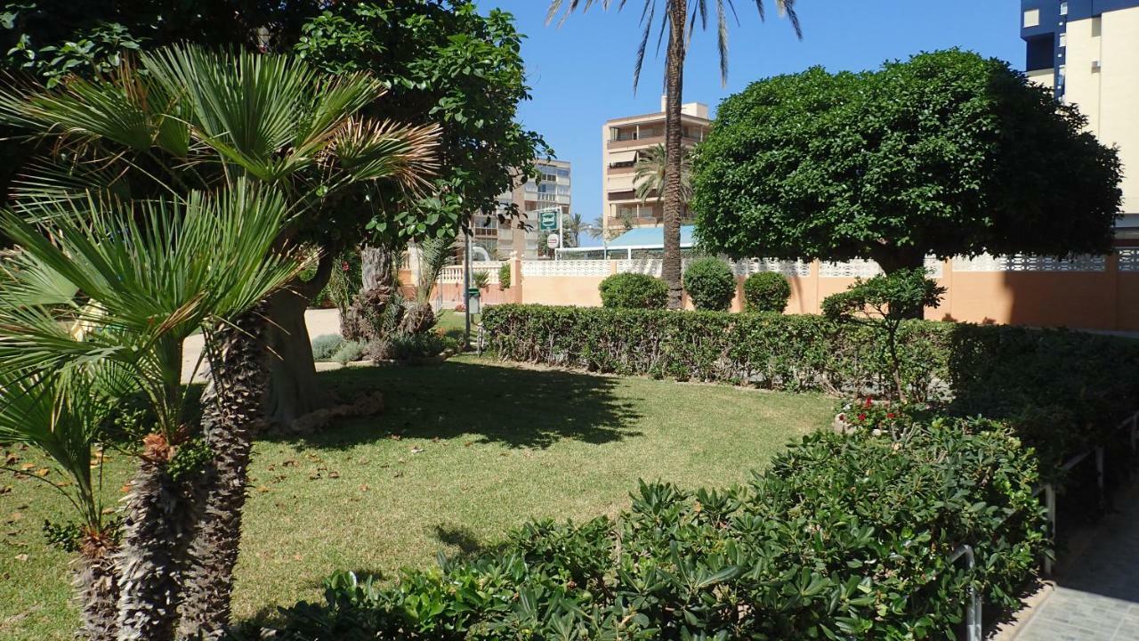 Tortuga Flat Lejlighed Alicante Eksteriør billede